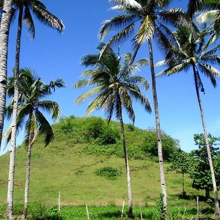 Bohol Sweet Home Bed And Breakfast Guindulman Ngoại thất bức ảnh